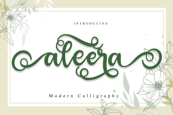 Aleera Script Font for Web Design