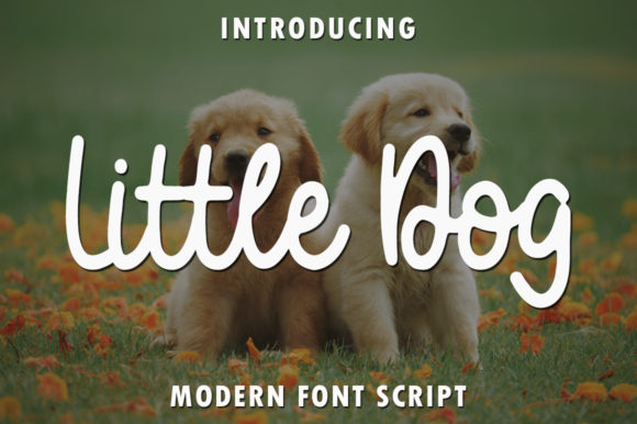 Little Dog Font Review: A Sweet Addition to Branding Projects