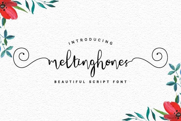 Meltinghones Script Font Review